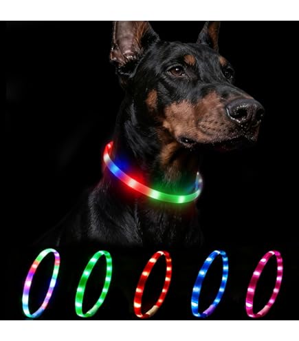 hundefutter gegen juckreiz Juckreiz-Linderung Probiotika Forte  100% natrlich  60 Portionen