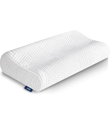 Oreiller Ergonomique à Mémoire de Forme – Protect & Go