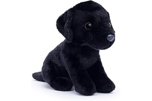 Labrador Noir