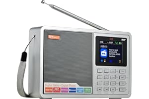 GTMEDIA Radio compacte avec Dab+/FM, Lecture Audio, Heure/Alarme, Affichage Couleur, Bluetooth et Support multilingue. Idéal pour Les Voyages, Les entraînements ou l'utilisation en Cuisine. des possibilités
