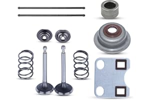 AUMEL Juego de tapas de protección de vástago de placa de válvula para Motor de cortacésped Honda GX160 GX200 5.5HP 6.5HP Reemplace 14791-ZE1-010.