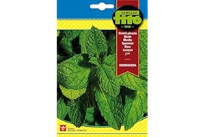 SEMILLAS FITÓ Eurogarden - Semillas de Hierbabuena, Planta aromática culinaria, 0,1 g - 6234
