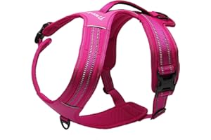 TRUE LOVE Réfléchissant Harnais De Chien Réglable Décourager Tirer Pet Gilet Durable en Nylon De Voiture TLH5551 (Fuchsia, XL)