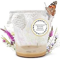 Gabbia Per Farfalle LUTER - Habitat Pieghevole Per Insetti