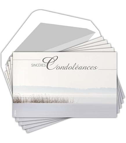 Carte Texte Sincère Cartes Condoléances AFIE - Lot De 5 Cartes Et Enveloppes - Format 9x14cm - Fabriqué En France Cartes Fabriquées France