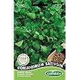 Germisem Coriandrum Sativum Semi di Coriandolo 10 g