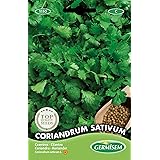 Germisem Coriandrum Sativum Semi di Coriandolo 10 g