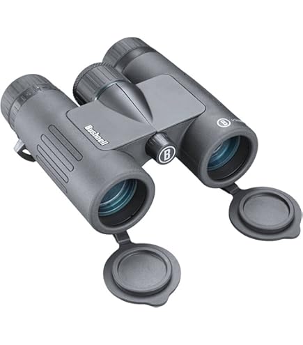 Buy BUSHNELL 333208 Trophy 8 x 32mm Binoculars Online at Low 