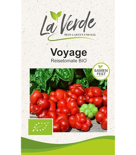 Reisetomate Bio-Samen – 10 Stück, Süß & Fleischig
