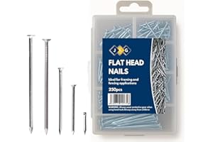 JKG® 250 Assorted Nails for Wood - Iron Nails Set | Hard Nails, Hanging Pictures | Small, Medium, Long DIY Nails, Panel Pins | Flat Headed Woodwork, Wire Common Construction Nails (in Plastic Case)