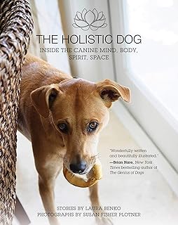 holistic guide for a healthy dog