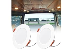 TrustWheel 2x LED 12V Campervan Coche Interior Downlight LED Techo Empotrable Regulable 3W Blanco Calido 3000K IP44 para Autocaravana Camper Barco Techo, Blanco