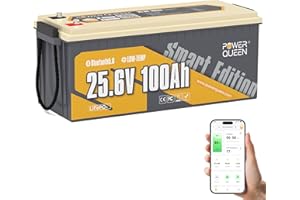 Power Queen 25.6V 100Ah Bluetooth LiFePO4 Batterie, 4000-15000 Zyklen, 10-Jahres-Lebensdauer Lithium Batterie, Low-Temp Schutz, 2.56KWh wiederaufladbare Batterie für Trolling Motor, Marine, Off-Grid
