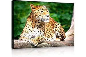 lightbox multicolor | LED Wandbild | Leopard in der Natur | 100x70 cm | Front Lighted