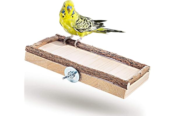 Perchoir Perroquet en Bois Naturel - 2 en 1 mangeoire et perchoir pour Cage a Oiseaux