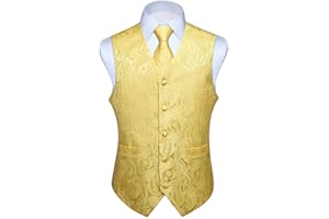 HISDERN Gilet da uomo Paisley floreale jacquard floreale cravatta tasca quadrata fazzoletto vestito set