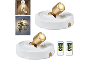 RAHAN 2 Stück Batteriebetriebener Scheinwerfer, Bild-Licht mit Fernbedienung Dimmbar Timer, Pflanzen Beleuchtung Bilderlichter für Gemälde, Kleine LED-Spot-Anzeigeleuchten für Wandrahmen Kunstwerk Dartboard