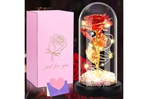 AMZJMT Ewige Rose im Glas,Rote Rosen Lampe in Glaskuppel,Die Schöne und das Biest Rose Valentinstag,Muttertag,Geburtstagsgeschenk, Romantisches Liebesgeschenk,Gifts for Women