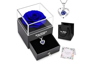 NEWUPZSI Vera Rosa eterna con collana e orecchini in una scatola regalo, regali romantici di rosa per lei nel giorno di San Valentino Anniversario Regali per la festa della mamma per le donne