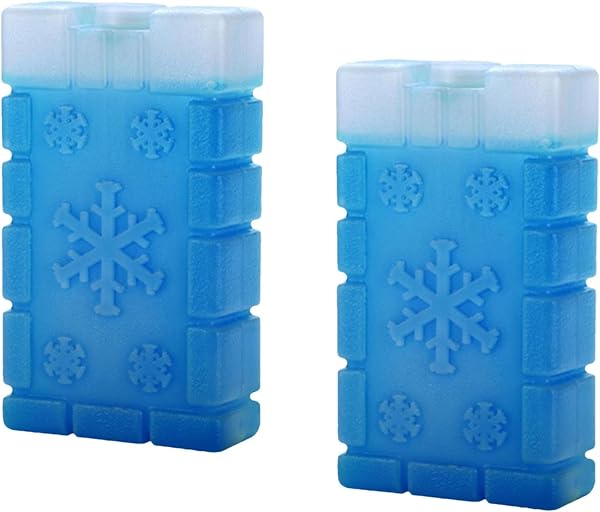 Reusable Ice Packs for Cooler and Lunch Boxes, 2 packs, 400 gm each