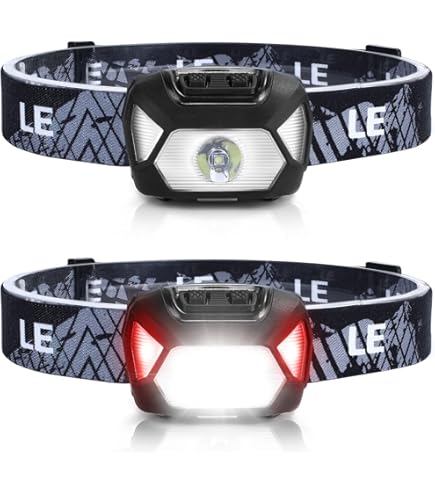 Lepro