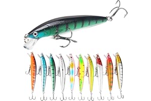 QSLKI Esche da Pesca, 10 Kit di Esche Artificiali, Richiamo Set, 3D Sanguinerola da Pesca, Attrezzatura di Pesca