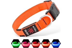 Illumifun LED Dog Collar, USB Rechargeable Light Up Dog Collar Glow in the Dark, Pet Safety Collar Lights for Night Walking Camping (Orange, Medium)