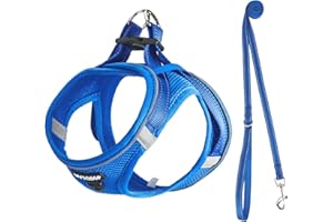 UVTQSSP Hundegeschirr Kleine Hunde mit Leine Gepolstert, Welpengeschirr, Dog Harness Hunde Geschirr Klein, Dunkelblau L