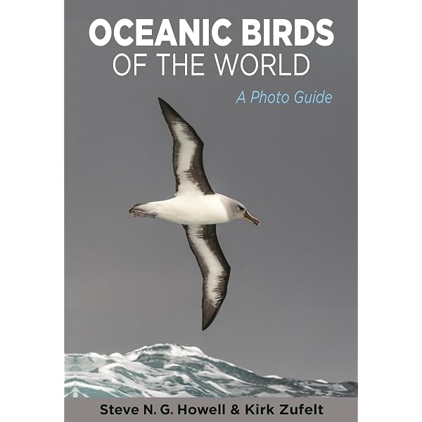Buy Gulls of Europe, Asia and North America Book Online at Low
