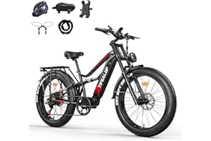 Lohang Vélo électrique pour Adultes, VTT 26 Pouces, Batterie 52 V 19/21 Ah, autonomie jusqu'à 40-90 km, Moteur Unique/Double, Double amortisseurs, 7 Vitesses, vélo électrique de Plage et de Neige