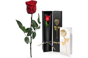 Yamonic Ewige Rose Geschenke für Frauen Weihnachten,Infinity Rose mit Stiel Geburtstagsgeschenk für Frauen, Echte Rose in Geschenkbox Geschenke für Mama,Blume Geschenk Weihnachten Valentinstag