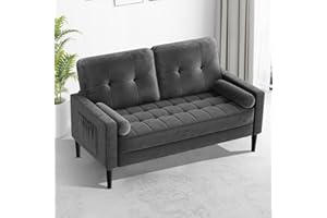 AOTUMM CIORT Divano 2 Posti, Divano Due Posti Con 2 Cuscini, Comodo Cuscino del Sedile, Divano in Tessuto Moderno, Divanetti per Soggiorno/Appartamento/Camera da Letto, Divano in Velluto (Grigio Velluto)