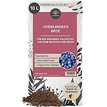olivenbaum überwintern kübel Olivenbaum auf Stamm kaufen | Olea europaea