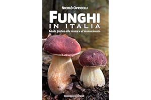 Funghi in Italia. Guida pratica alla ricerca e al riconoscimento
