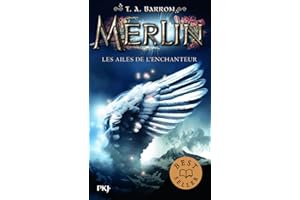 Merlin - tome 05 : Les ailes de l'enchanteur (5)