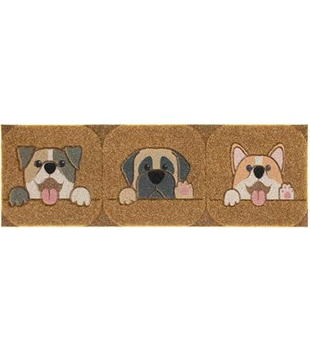 Zerbino Cocco Naturale 50x100 cm Esterno Porta Entrata Retro Antiscivolo Tappeto Raschiafango Marrone | Leroy Merlin