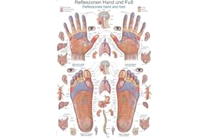 ERLER-ZIMMER GMBH Erler-Zimmer Wandbild 'Reflexzonen Hand und Fuß', 70L x 50B cm, Minimalistisch für Wohnzimmer