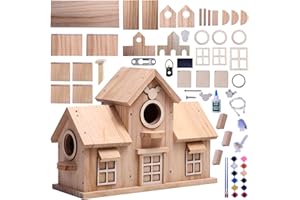 WOODURN Decorative Wooden Bird House, Natural Pine Wood, Double Entry Design