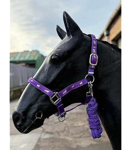 Support Cheval Hamilton – Nylon Violet – Taille Moyenne – Raccords Laiton – Occasion