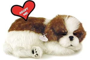 Plenty Gifts- Perfect Petzzz Soft Shih Tzu, 96293, Universel, Taille Unique