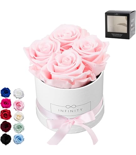 Aoshin Konservierte Rose In Geschenkbox – Echte Rose, Hält 3-5 Jahre, Rot, Perfekt Für Muttertag & Jahrestag