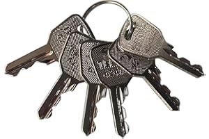 GAOHOU 6Pcs Lift Key Ignition Keys Compatible with Haulotte Ronis 4241A JLG Lift 2440306540