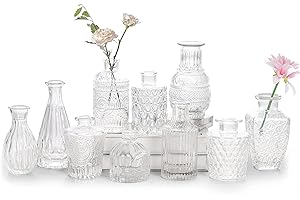 VIYMGIT Glas-Budenvasen-Set mit 10 Stück, Mini-Klare Budenvase für Großbestellungen, Kleine Vintage-Blumenvasen für Hochzeiten, Partys und dekorative Tischdekoration zu Hause
