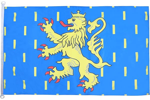 AZ FLAG - Drapeau Franche-Comté Spécial Extérieur - 150x90 cm - Drapeau Franc-Comtois - Province En Maille Bloquée Avec Anneaux Plastiques Intégrés - 170g