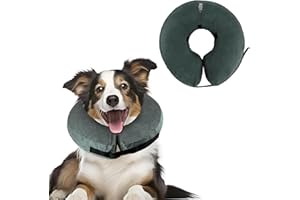 XIMEY Collar Isabelino Perro, Collar Isabelino Perro Pequeño, Collar Isabelino Inflable, Collar Isabelino Hinchable, para Protección Postoperatoria Cabeza, Tórax y Abdomen (Gris, XL)