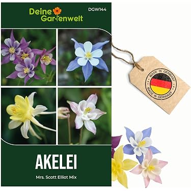 Amazon.de Best Sellers: The most popular items in Flower Plants & Seeds