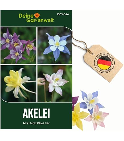 5 x Saatgut-Mischung/Blhstreifen/Bienenweide - Wildblten fr Garten und  Balkon | mit 31 regional heimischen Wildpflanzen "Tausende Grten   Tausende Arten" : Amazon.de: Garten