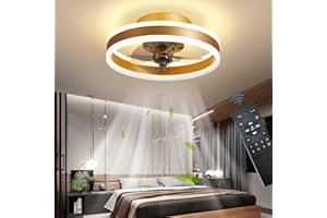 OMGPFR Reversible Led Ventilador Techo con Luz Silencioso y Mando 6 Velocidades Dormitorio Lamparas Ventilador de Techo Salon Moderno 24W Regulable Pequeño Luz Techo, Oro 40CM
