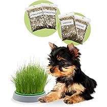 Carta Da Parati Di Pasqua,uovo Di Pasqua,erba,pasqua,primavera,uovo - Foto 5