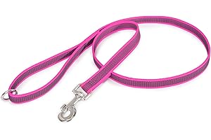 JULIUS-K9 Correa IDC Color & Gray con asa y aro tórico, 20 mm x 1,2 m, Rosa-Gris
